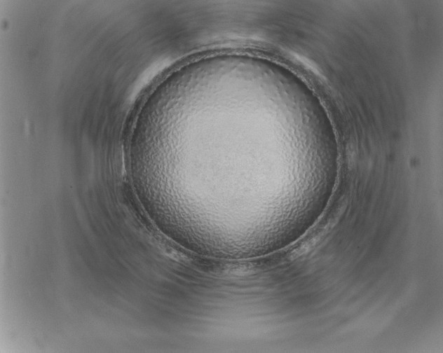 X0000069841267200606021352