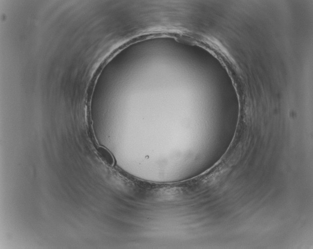 X0000069841268200606021352