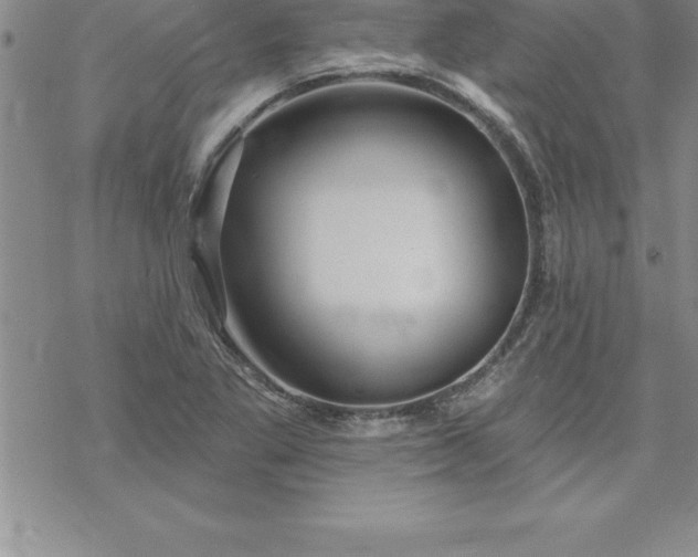 X0000069841269200606021352