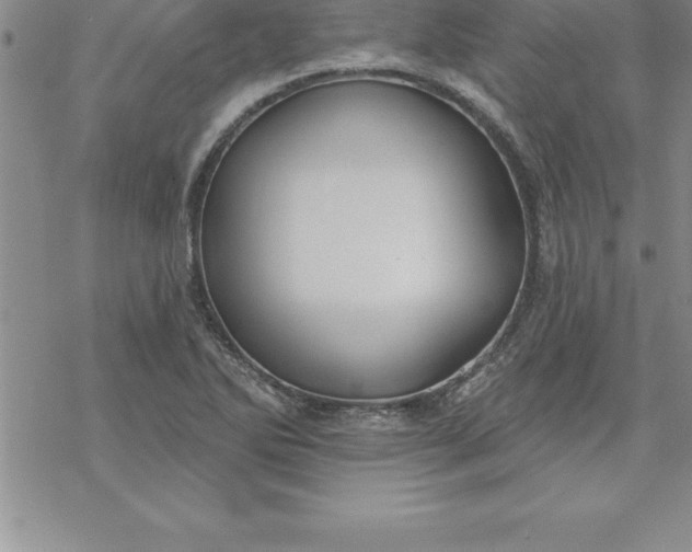 X0000069841270200606021352