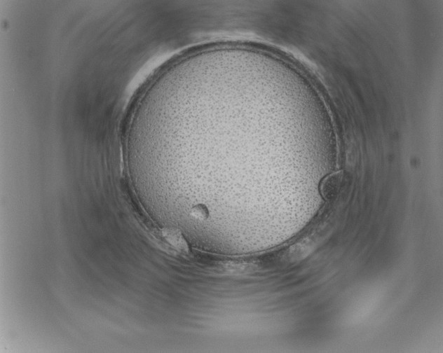 X0000069841271200606021352