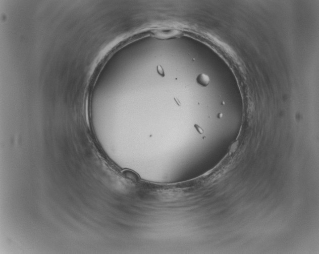 X0000069841272200606021352