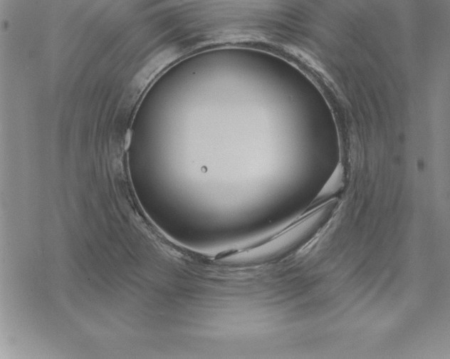 X0000069841273200606021352