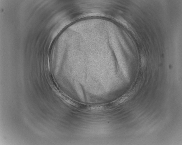 X0000069841274200606021352