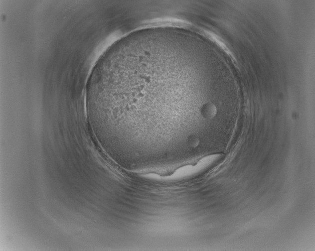 X0000069841275200606021352