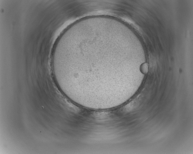 X0000069841278200606021352