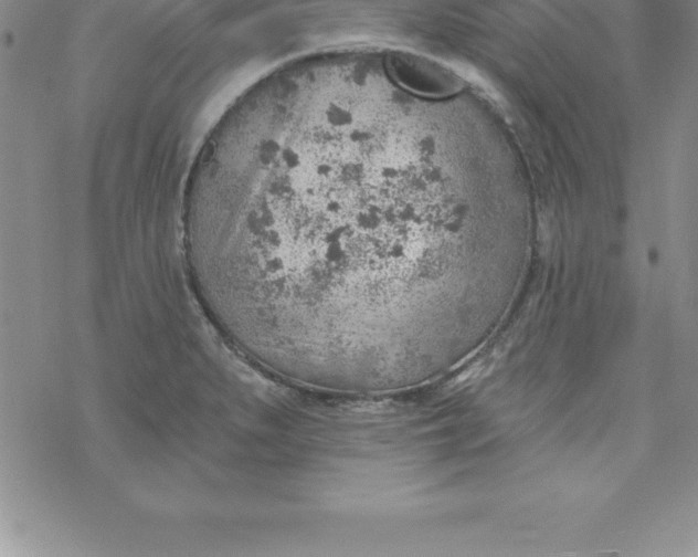 X0000069841279200606021352