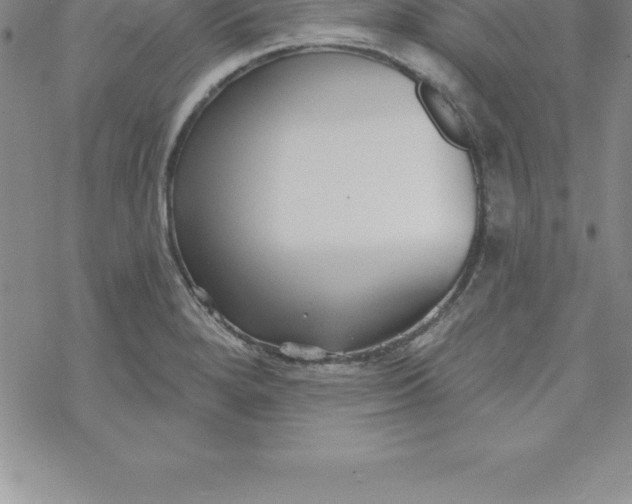 X0000069841280200606021352