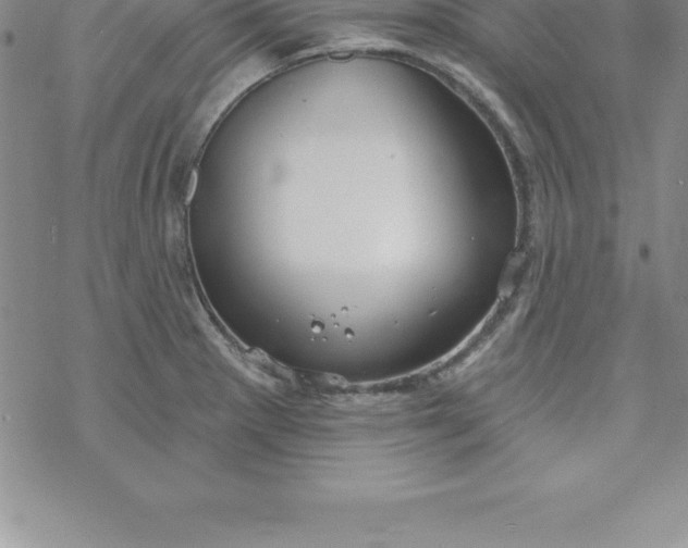 X0000069841281200606021352