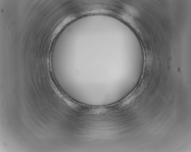 X0000069841282200606021352