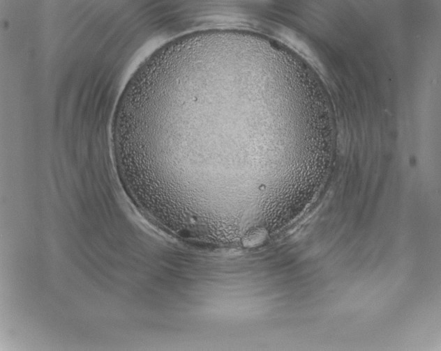 X0000069841283200606021352