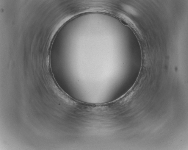 X0000069841284200606021352