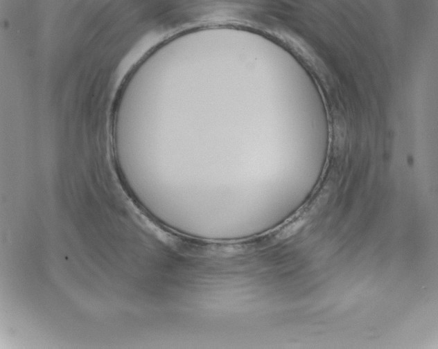 X0000069841286200606021352