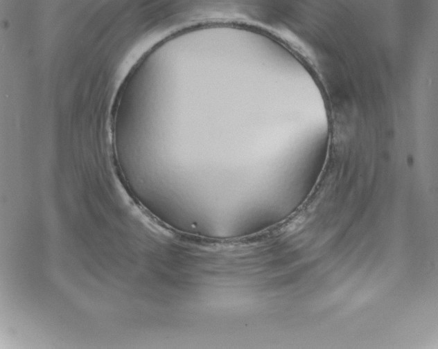 X0000069841287200606021352