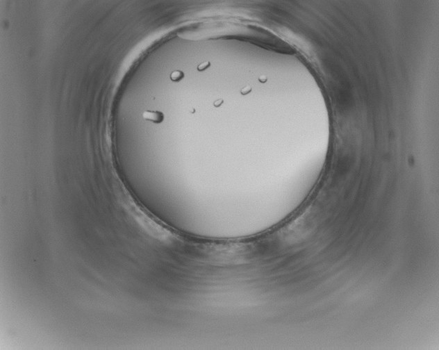 X0000069841288200606021352