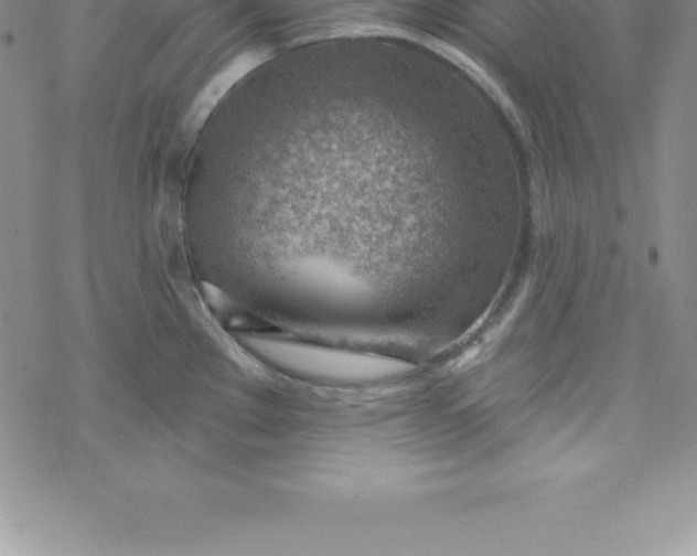 X0000069841289200606021352