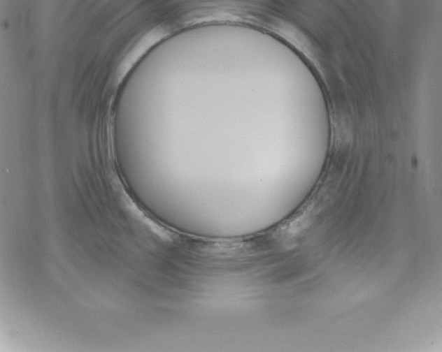 X0000069841290200606021352