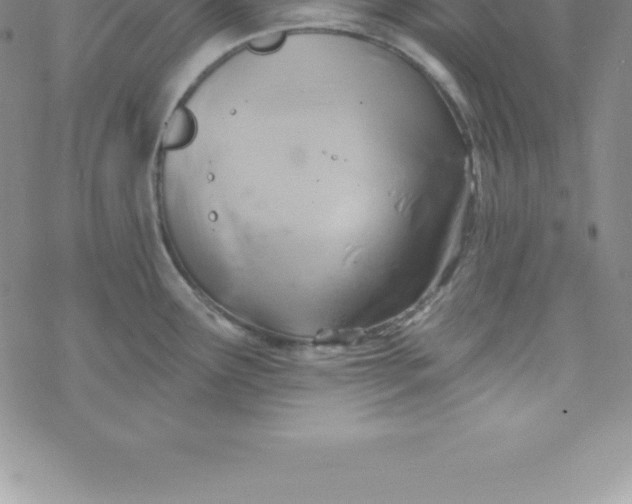 X0000069841291200606021352