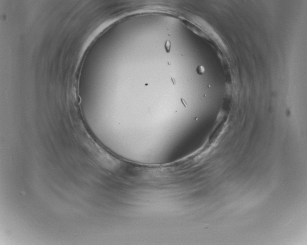 X0000069841292200606021352