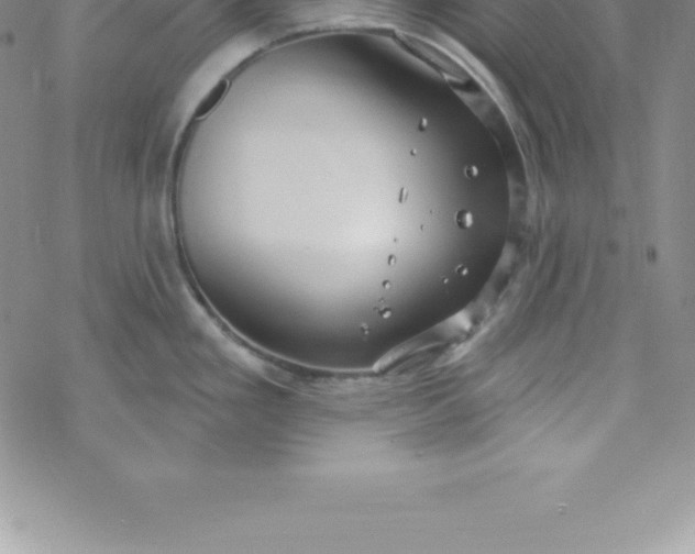 X0000069841293200606021352