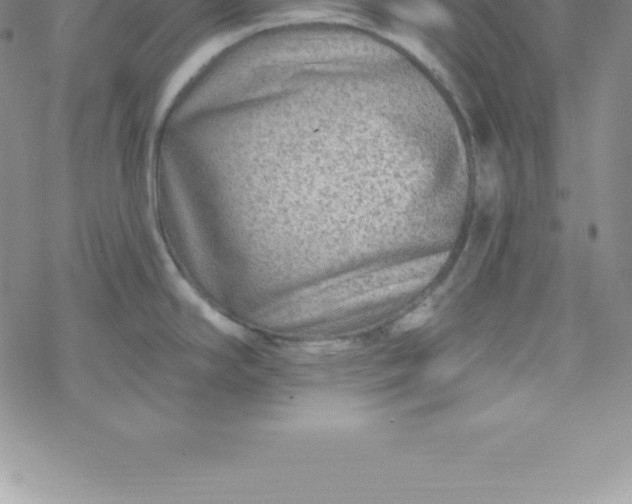 X0000069841294200606021352