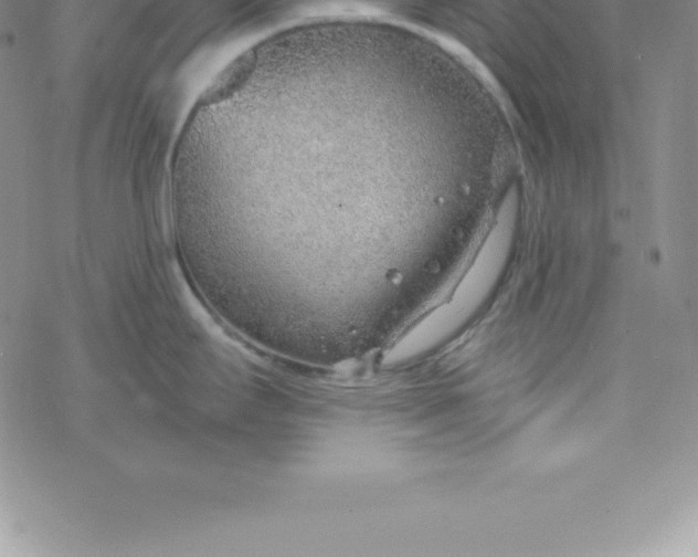 X0000069841295200606021352