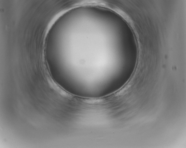 X0000069841296200606021352