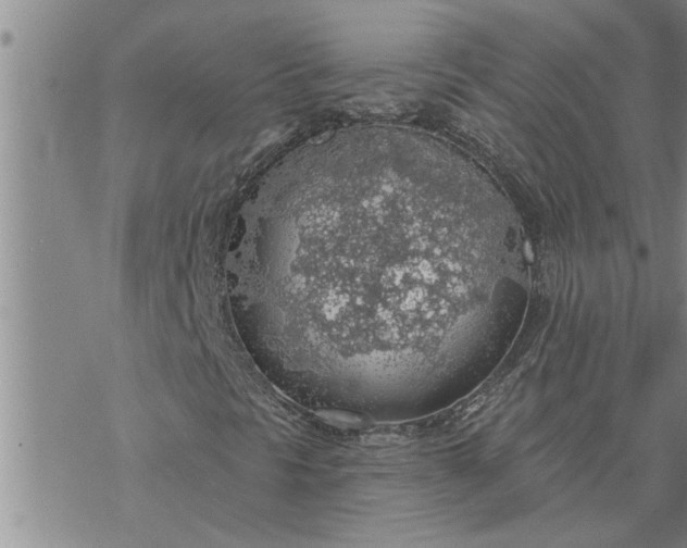 X0000069841297200606021351