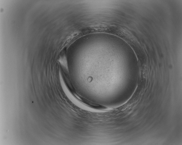 X0000069841298200606021351