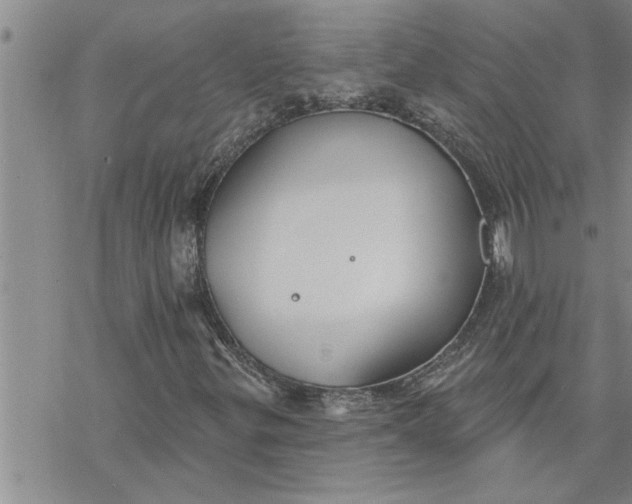 X0000069841299200606021351