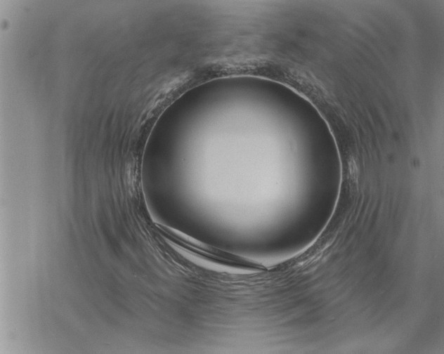 X0000069841300200606021351