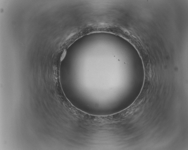 X0000069841301200606021351