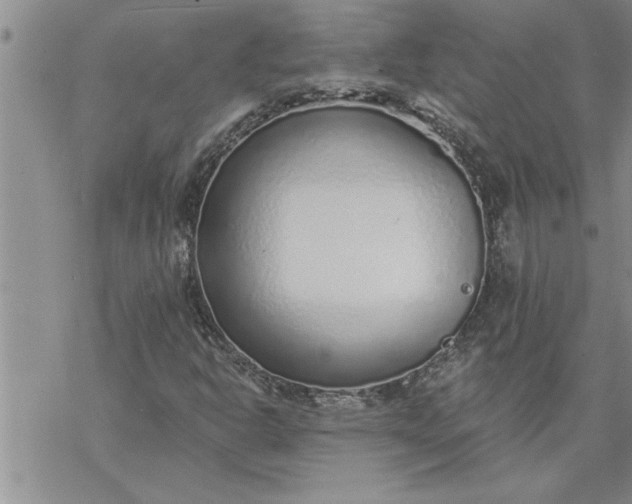 X0000069841302200606021351