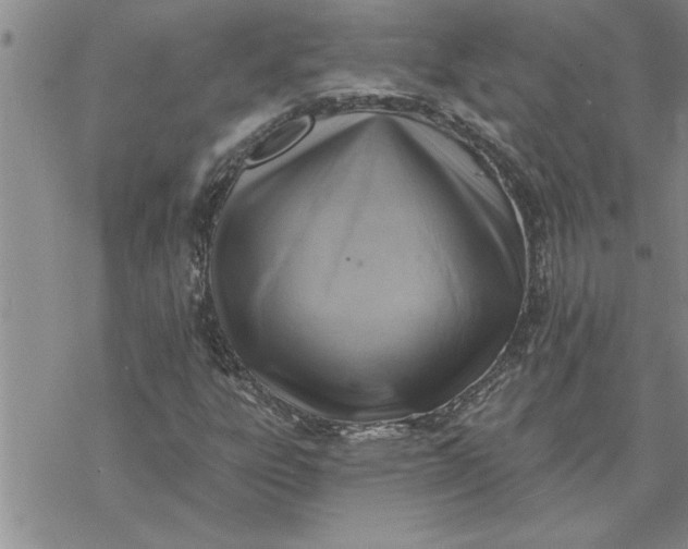 X0000069841303200606021351