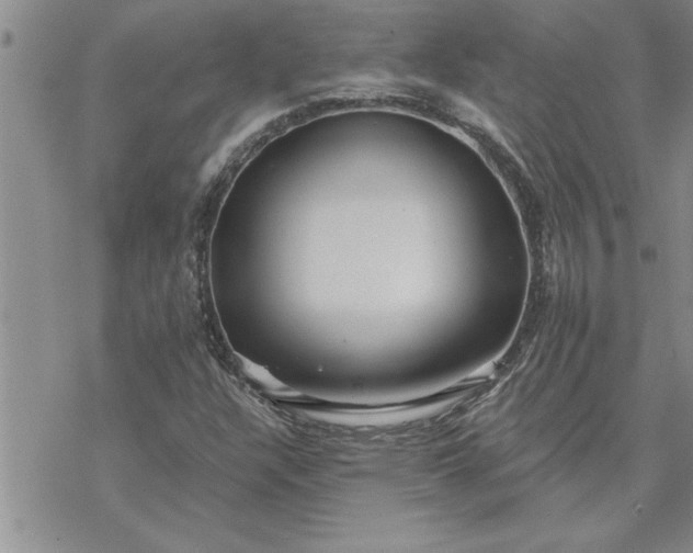 X0000069841304200606021351