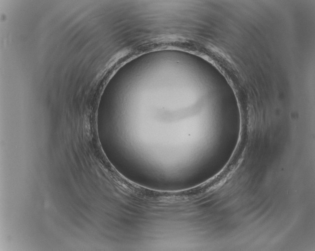 X0000069841305200606021351