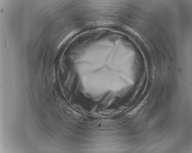 X0000069841306200606021351