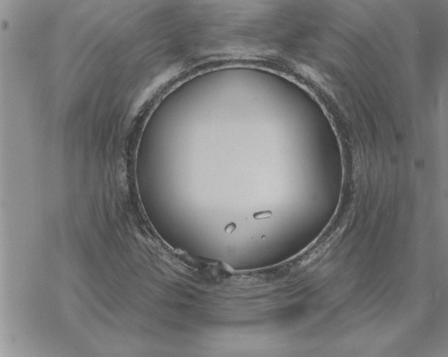 X0000069841307200606021351