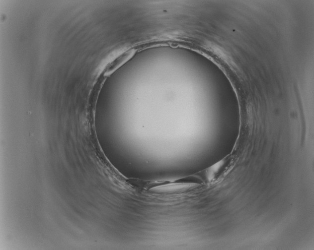 X0000069841308200606021351