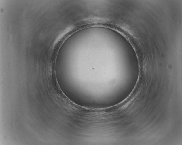 X0000069841309200606021351