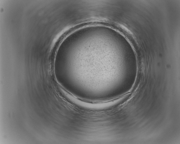 X0000069841310200606021351