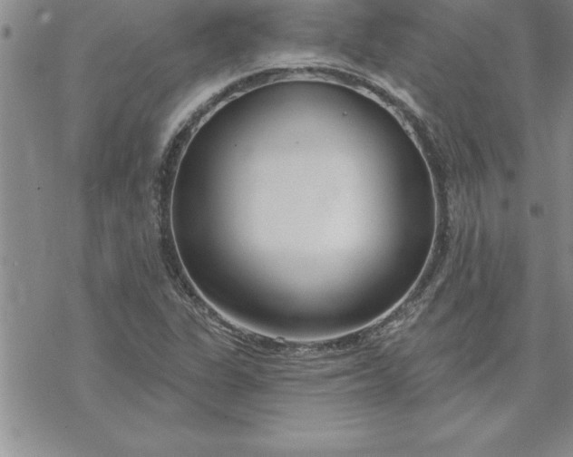 X0000069841311200606021351