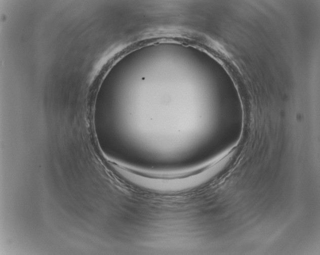 X0000069841312200606021351