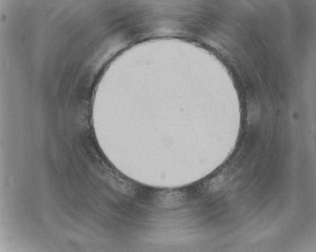 X0000069841314200606021351