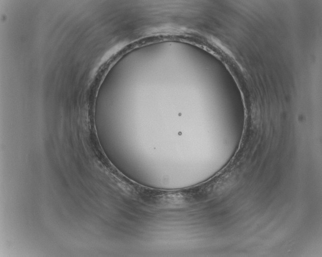 X0000069841315200606021351