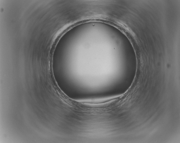 X0000069841316200606021351