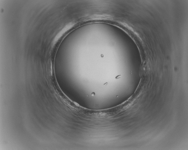 X0000069841317200606021351