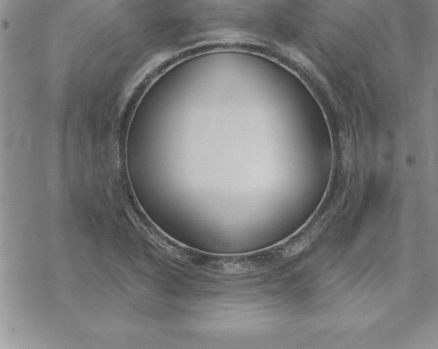 X0000069841318200606021351