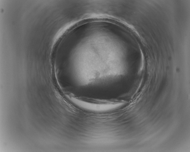 X0000069841319200606021351