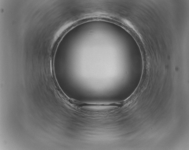 X0000069841320200606021351